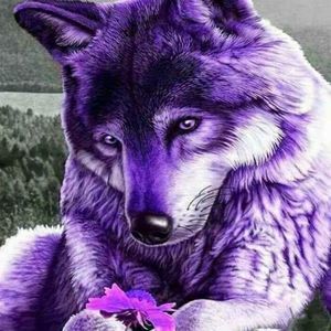 Meet your Posher, Venus